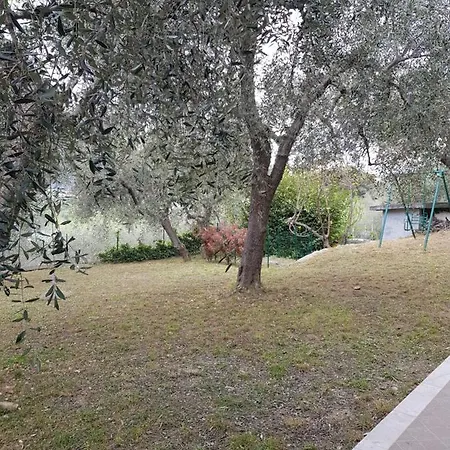 Guest house La Vert Olive