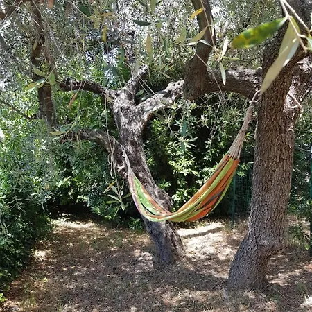 Guest house La Vert Olive